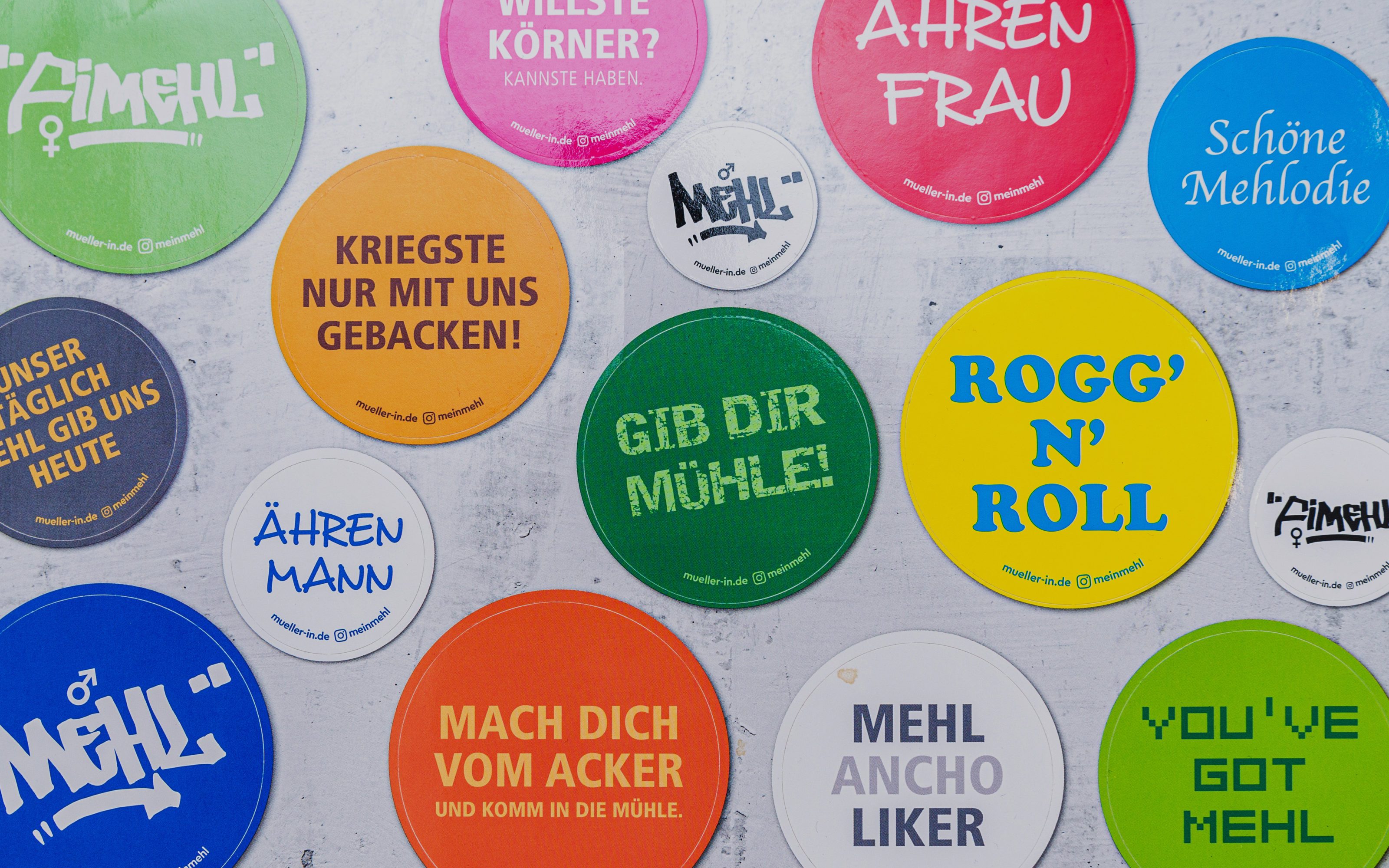 GRACO-VGMS-Social-Media-Kampagne-Projekt