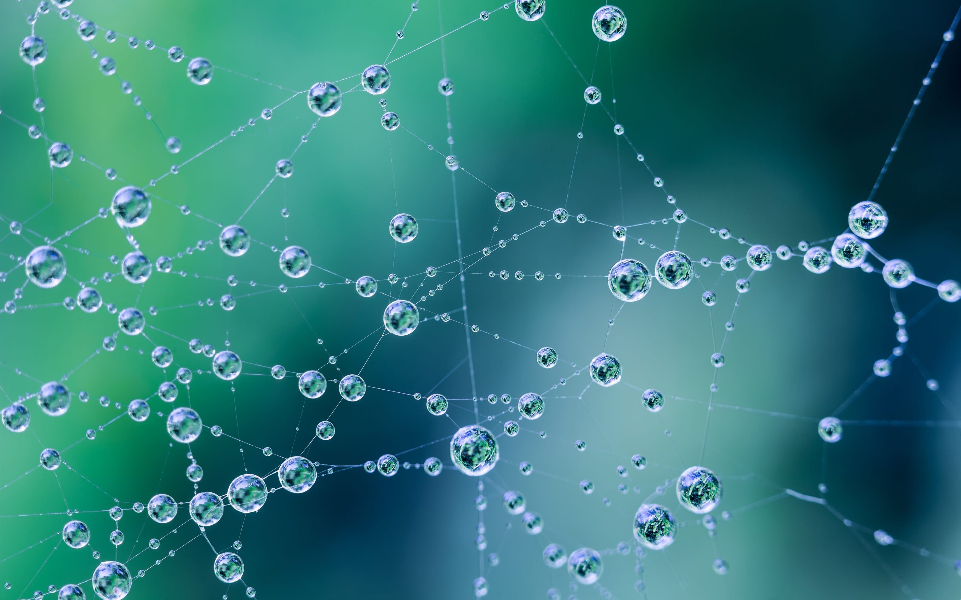 GRACO-gematik-Imagebroschuere_Header GRACO-gematik-Imagebroschuere_Header